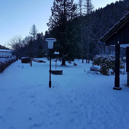 In Harz Near The Area 公寓 *