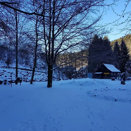公寓 In Harz Near The Area 维尔德曼