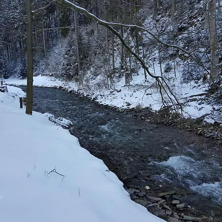In Harz Near The Area *