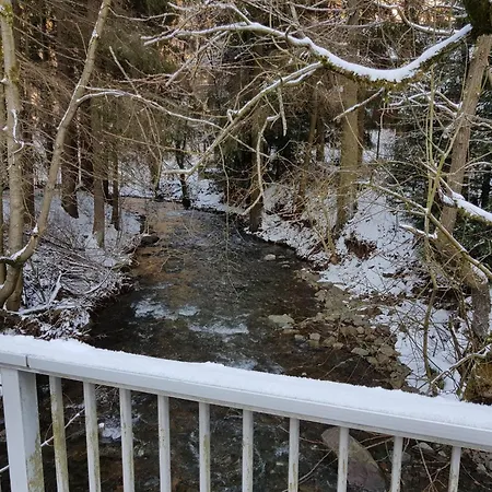 In Harz Near The Area * 维尔德曼