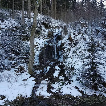 In Harz Near The Area 公寓