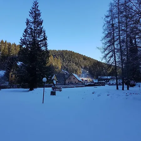 In Harz Near The Area 维尔德曼