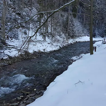 公寓 In Harz Near The Area