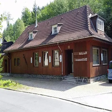 In Harz Near The Area 公寓 维尔德曼