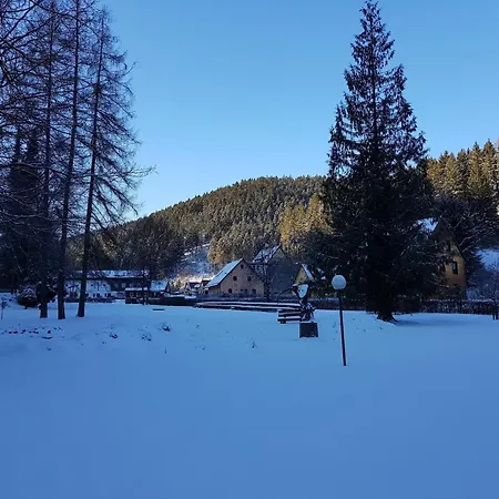 In Harz Near The Area