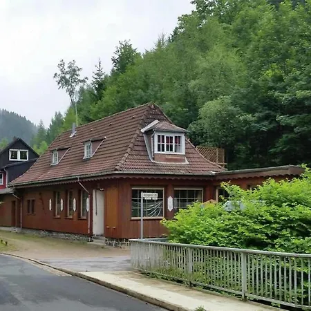 In Harz Near The Area 维尔德曼
