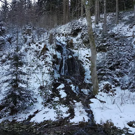 In Harz Near The Area 公寓 *