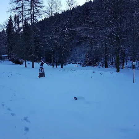 公寓 In Harz Near The Area 维尔德曼